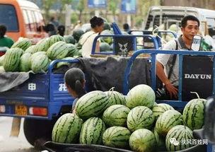 吃瓜拉新项目拆解