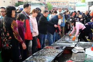 黄岛武夷山早市头条,探寻美食与文化的市井风情