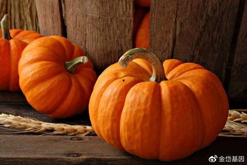 立秋吃瓜活动,秋意渐浓，丰收滋味尽享其中