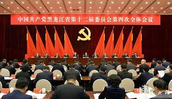 哈尔滨西峰新闻头条,聚焦城市发展新篇章