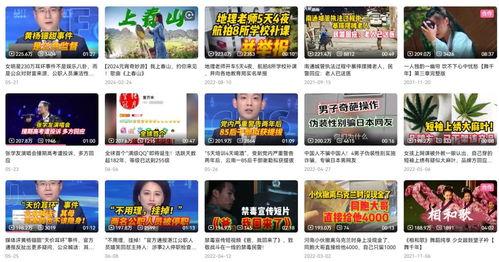 春天西安头条视频新闻,西安街头焕新颜——最新头条视频新闻速览