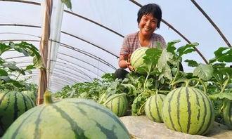 9月份吃瓜,盘点当月热门“吃瓜”事件